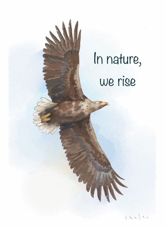 Havørn - The Spirit of Northern Nature