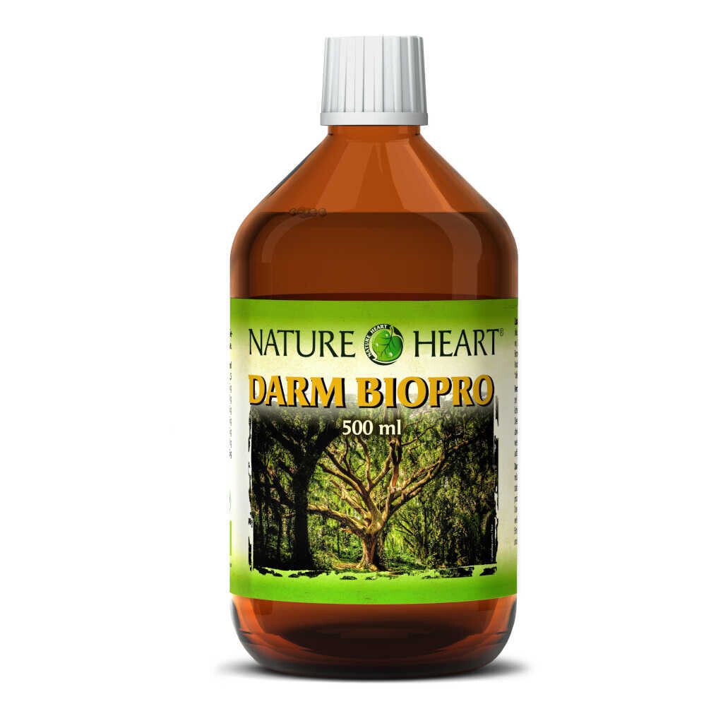 Nature Heart Darm BioPRO - 1 Flasche mit 500 ml