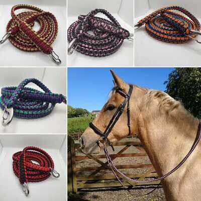 Reins