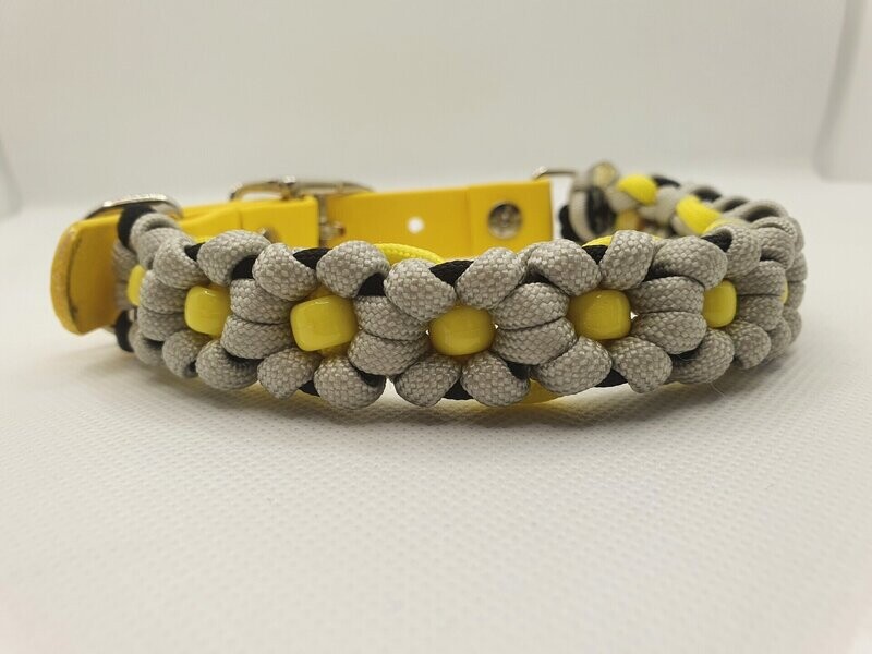 Yellow and Grey Flower
