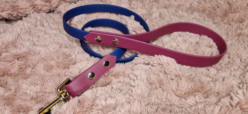 Biothane navy and burgundy 