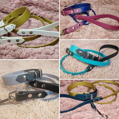 Biothane® Collar and Lead sets
