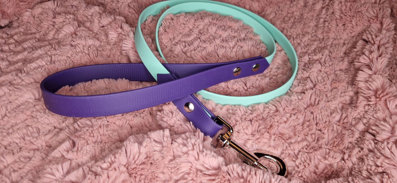 Biothane purple and mint