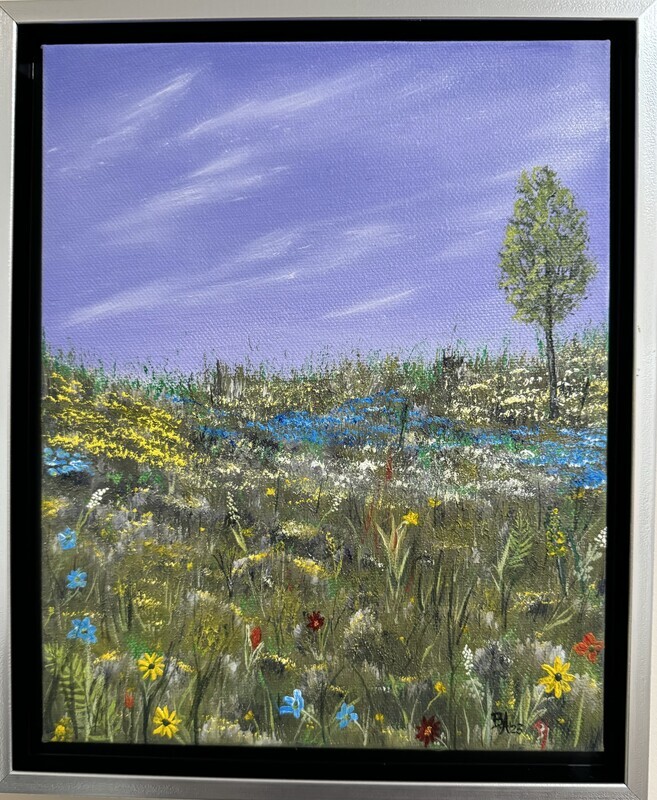 &quot;Spring Meadow&quot;