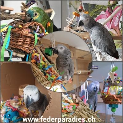 Federparadies Spielzeuge
