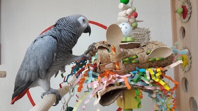 mit Palmblatt / Bambus