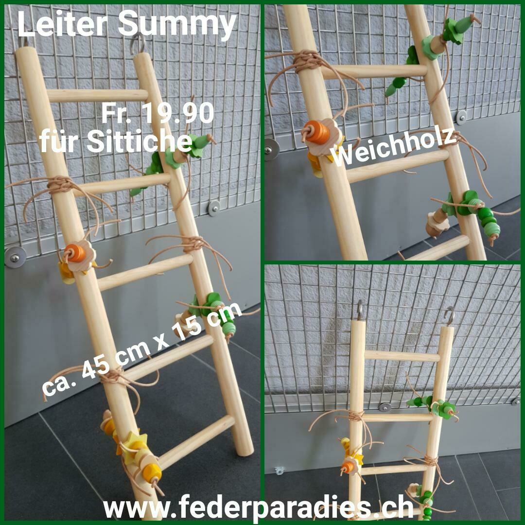 Leiter Summy