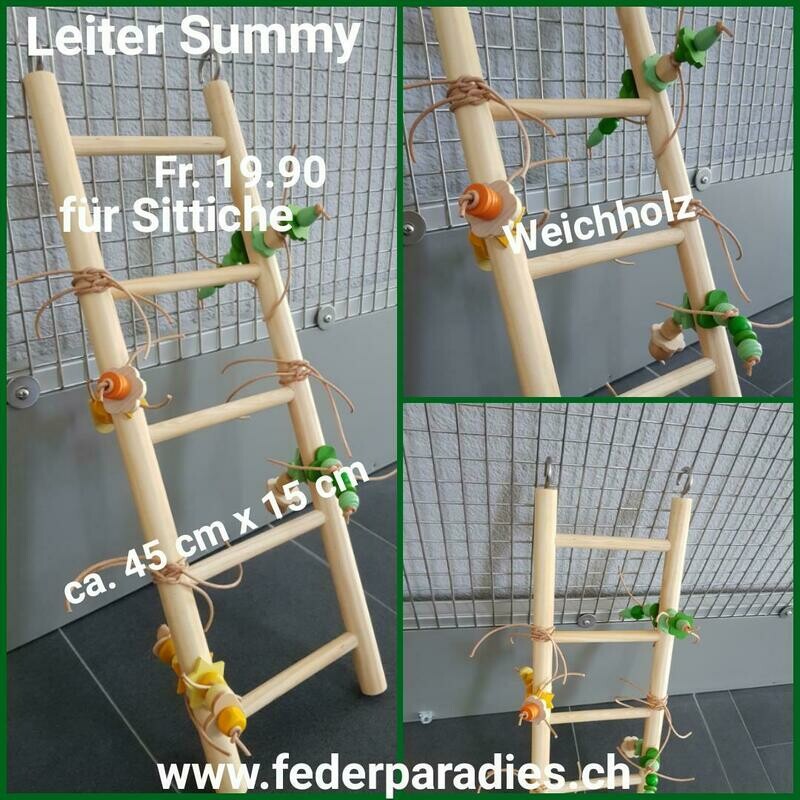Leiter Summy