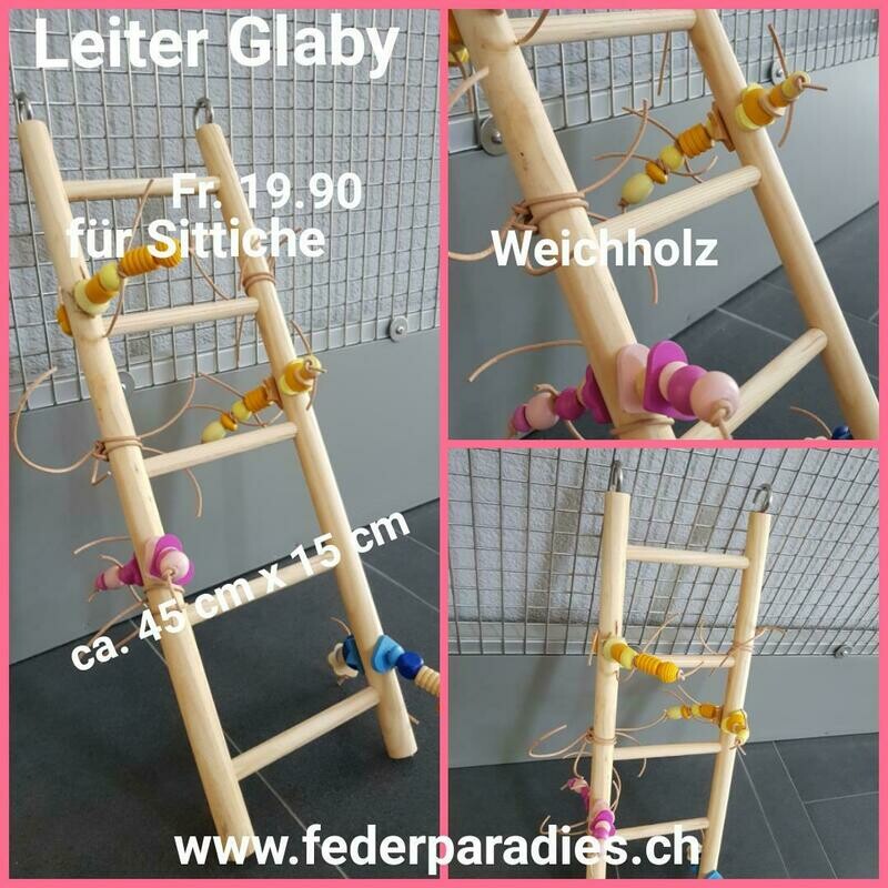Leiter Glaby