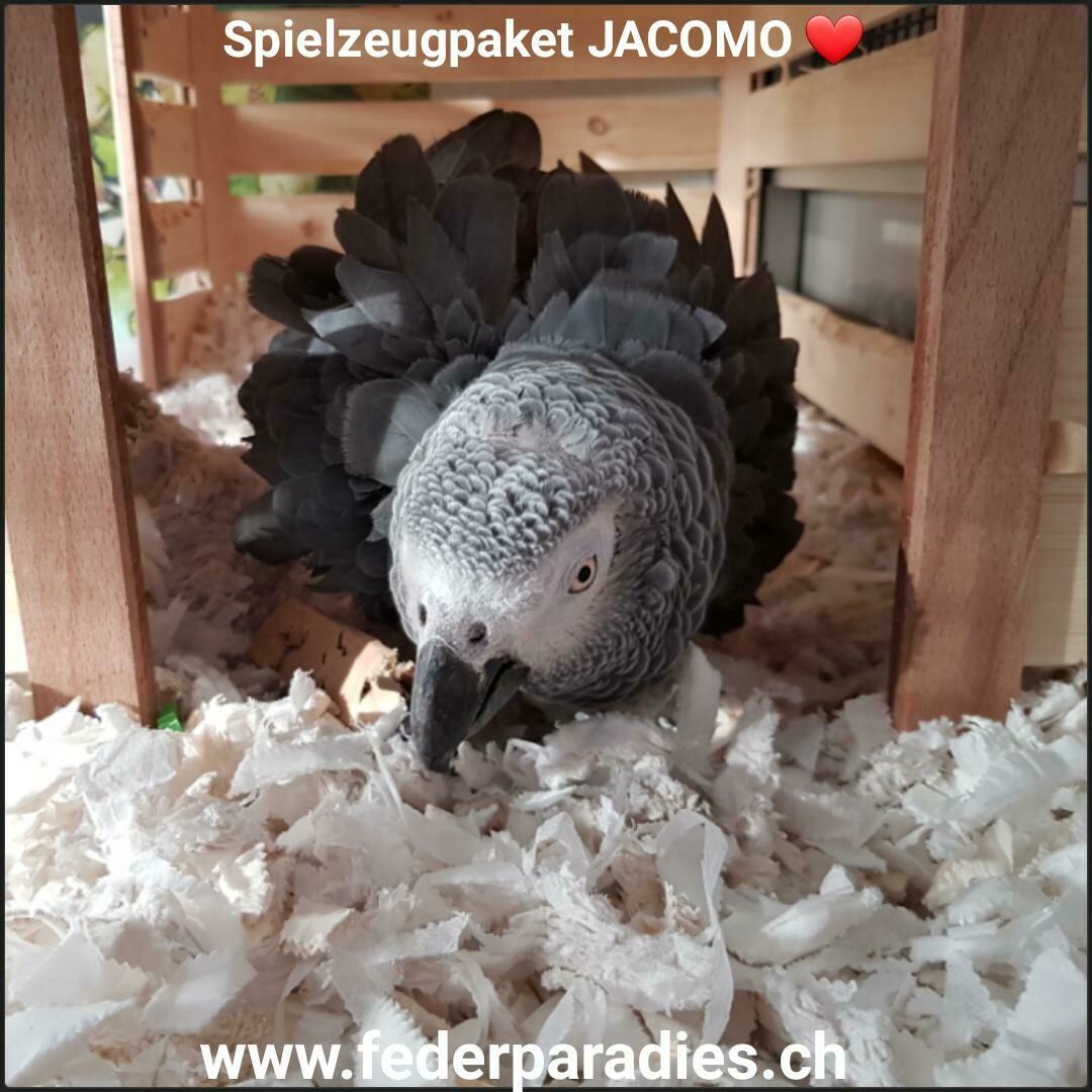 Spielzeugpaket JACOMO
