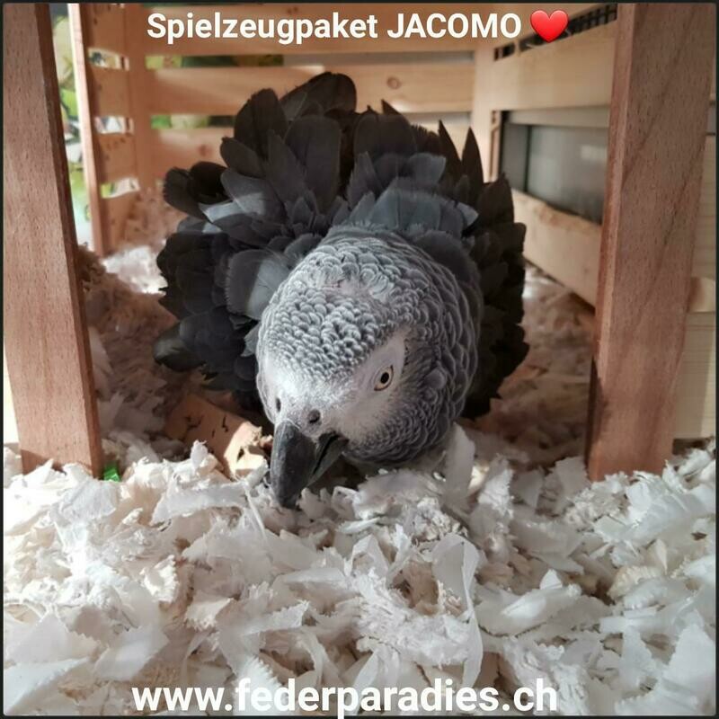 Spielzeugpaket JACOMO