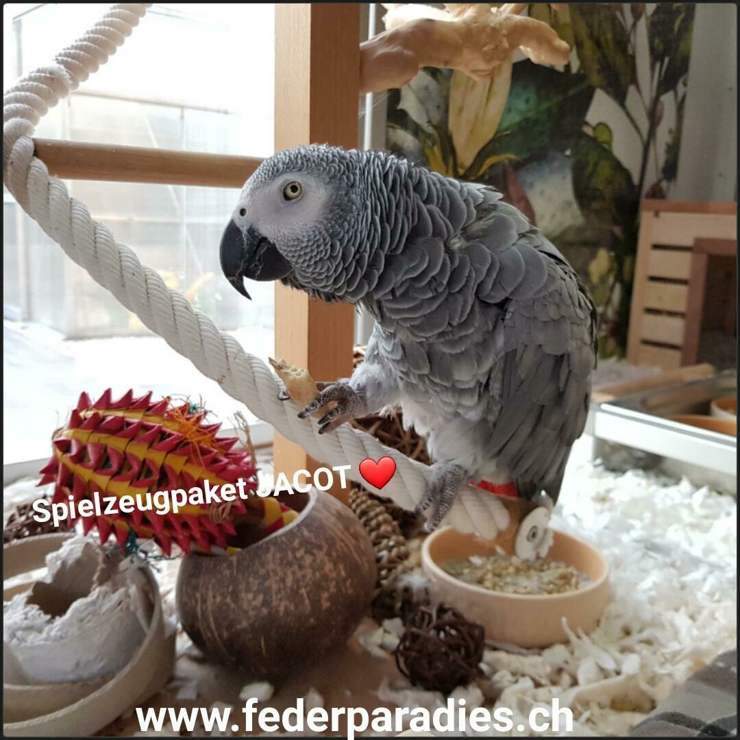 Spielzeugpaket JACOT