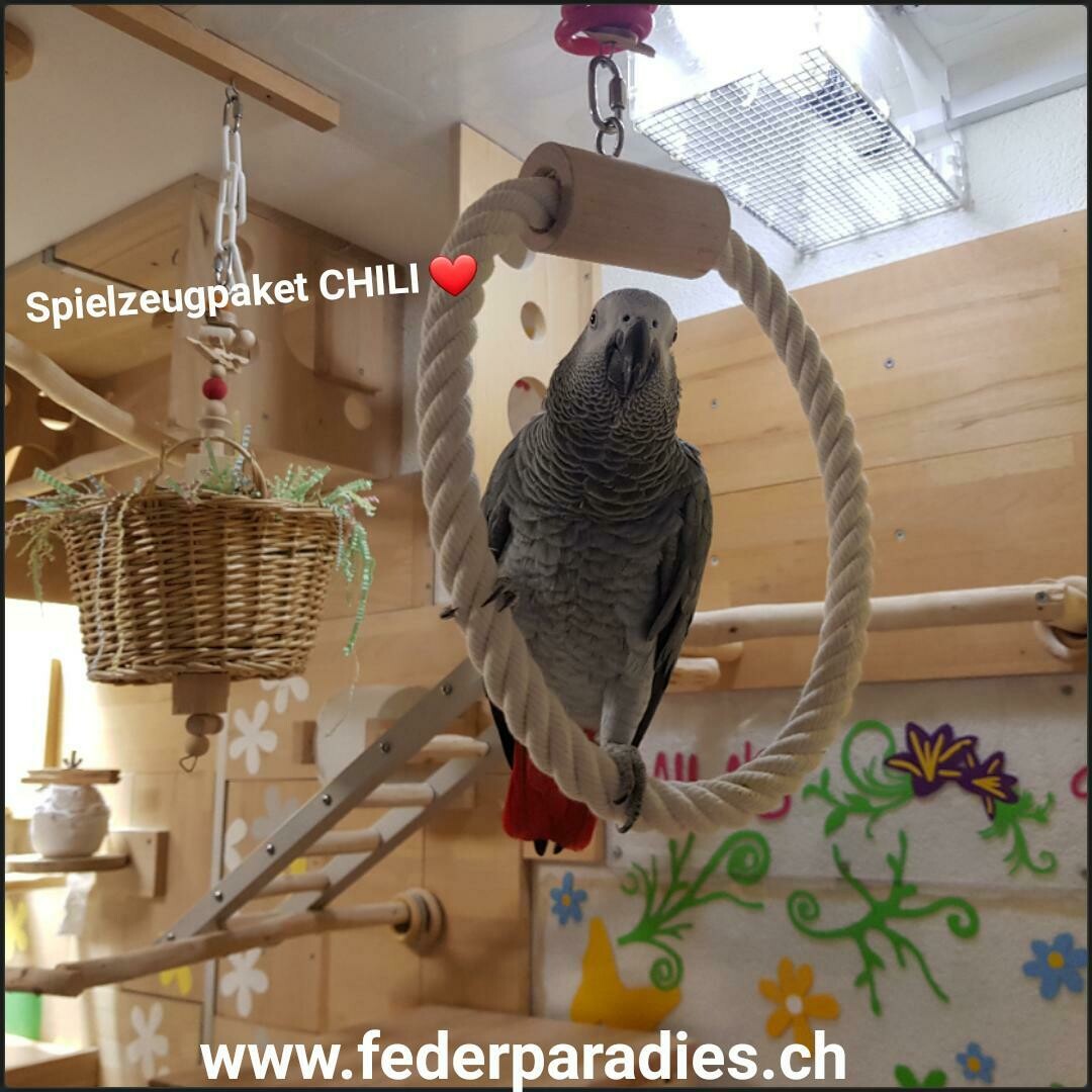 Spielzeugpaket CHILI