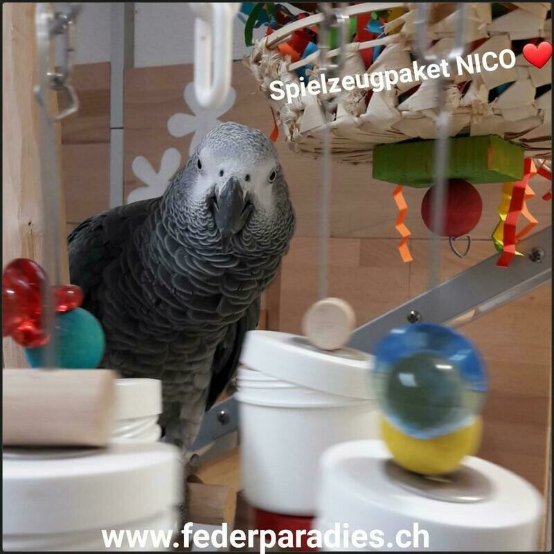 Spielzeugpaket Nico