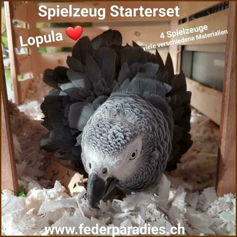 Spielzeug Starterpaket Lopula