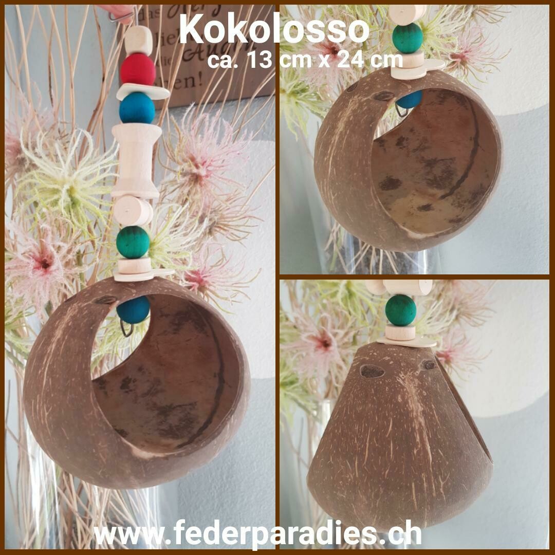 Kokosnuss Kokolosso
