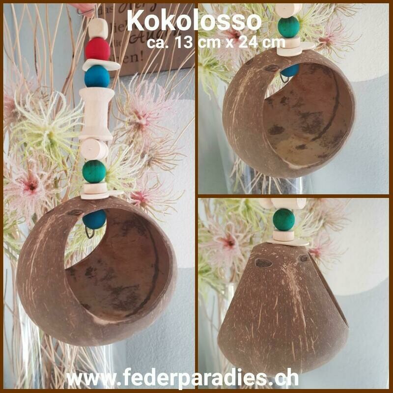 Kokosnuss Kokolosso