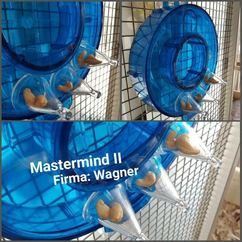 Versteckspielzeug "Mastermind II"