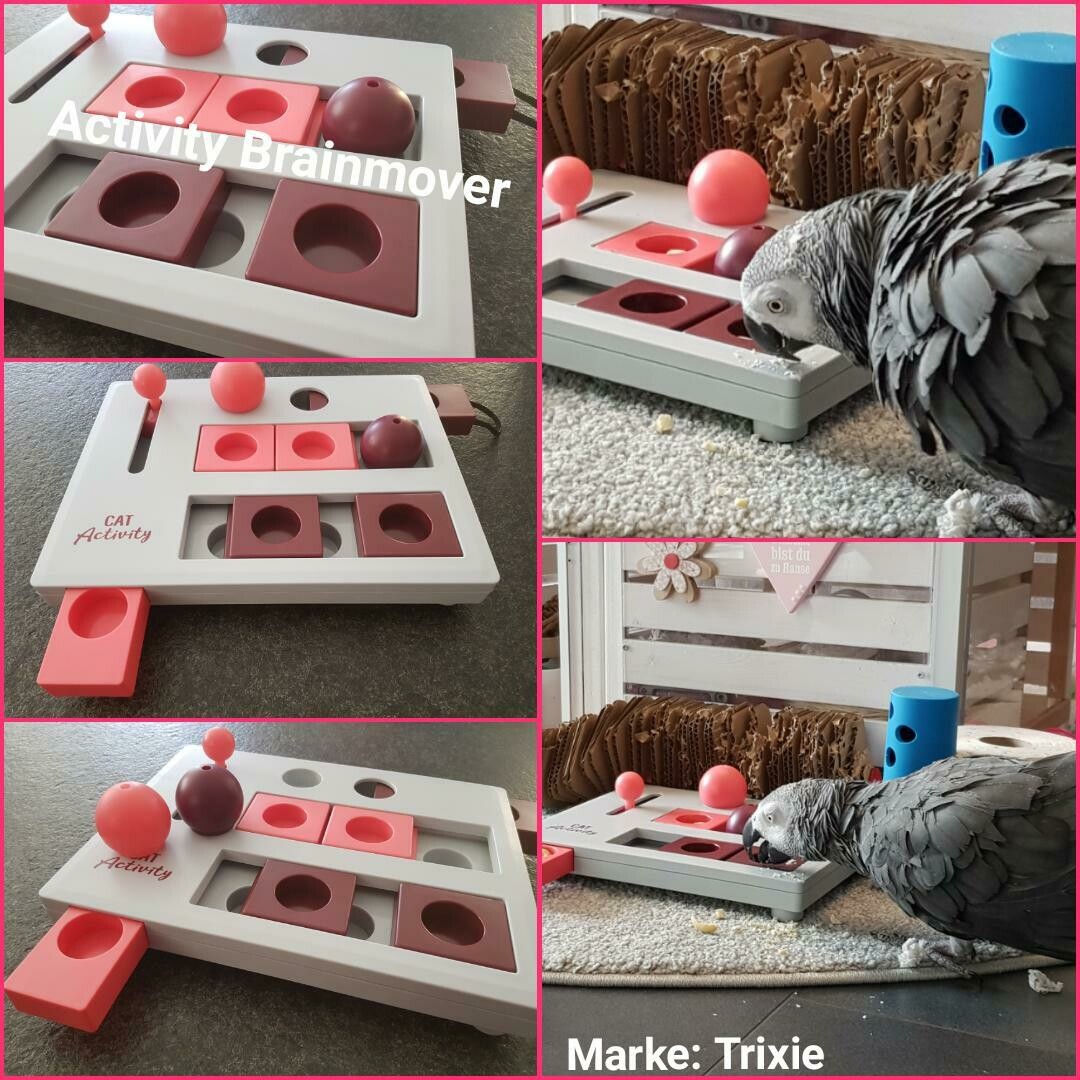 Activity Brainmover