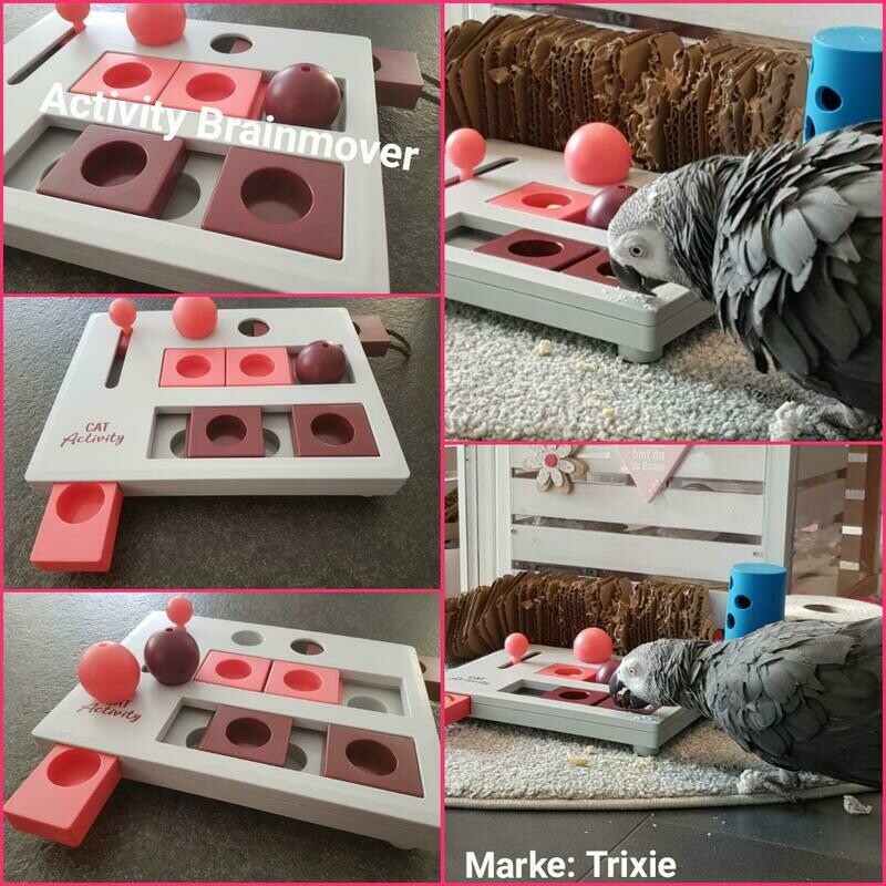 Activity Brainmover