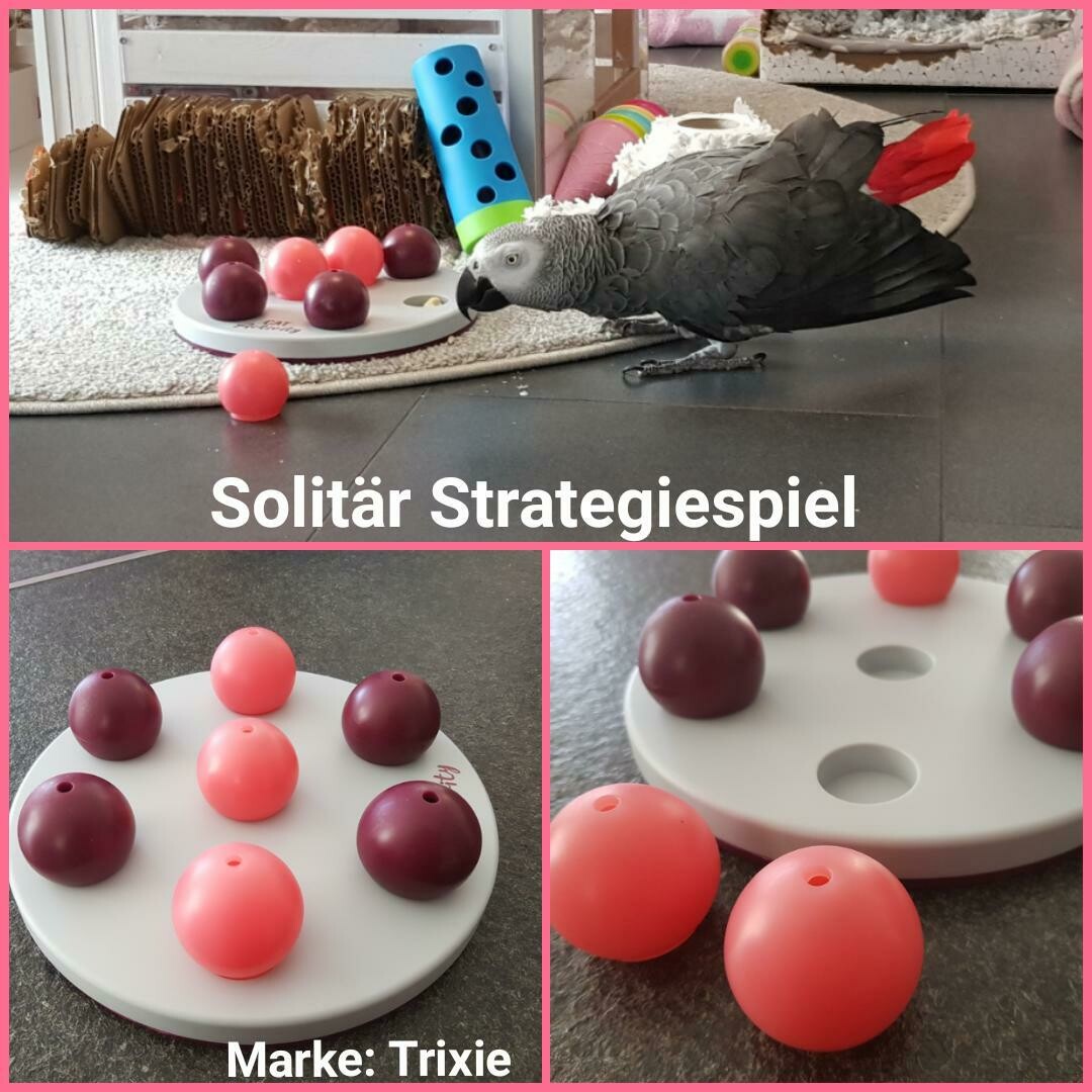 Solitär Strategiespiel