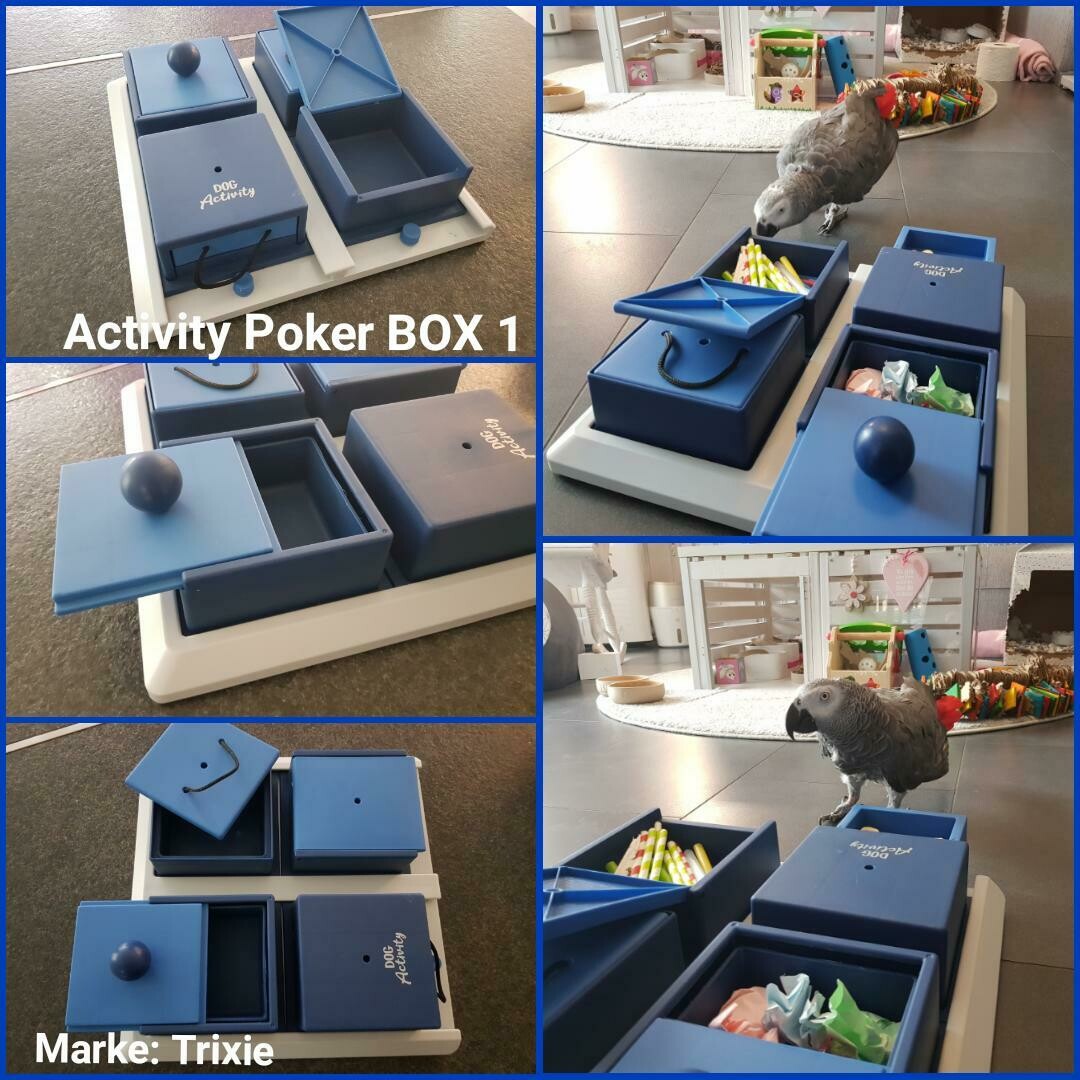 Activity Poker BOX 1