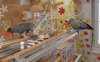 Futterbars