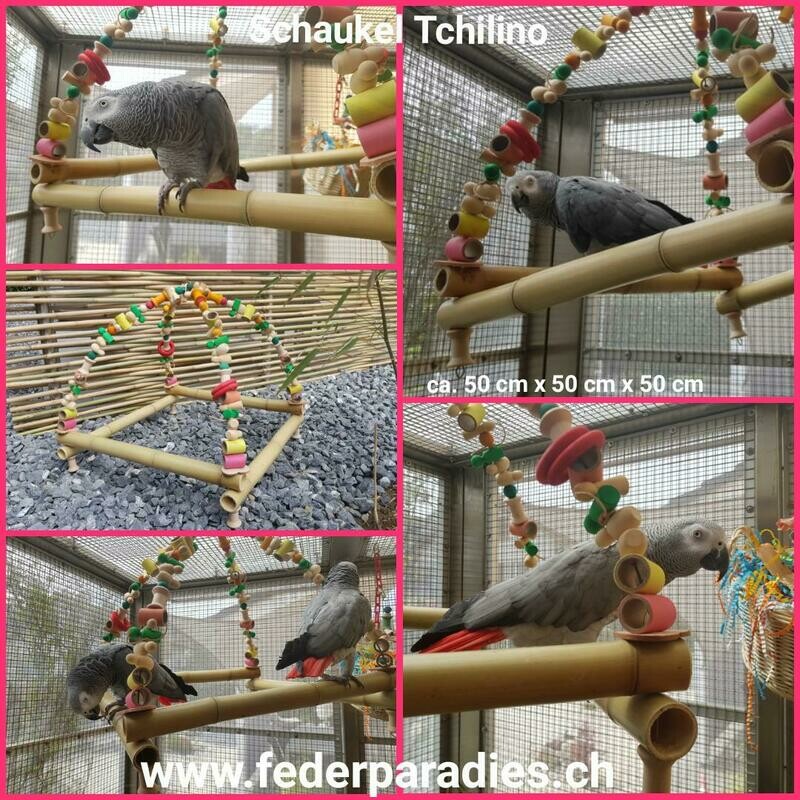 Schaukel Tchilino