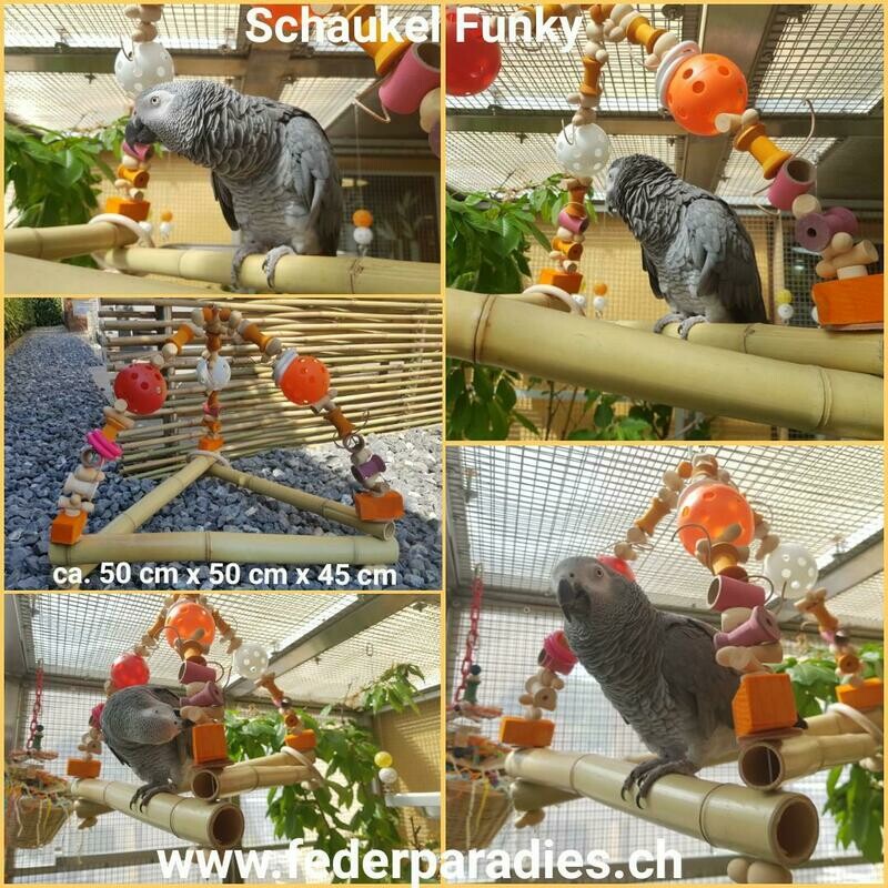 Schaukel Funky