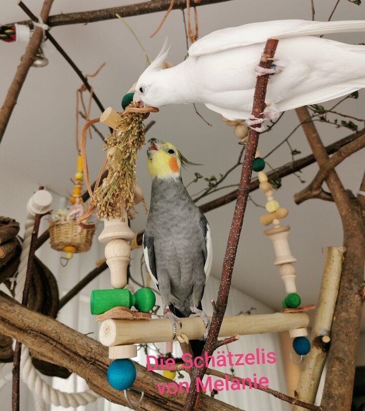 BUMI