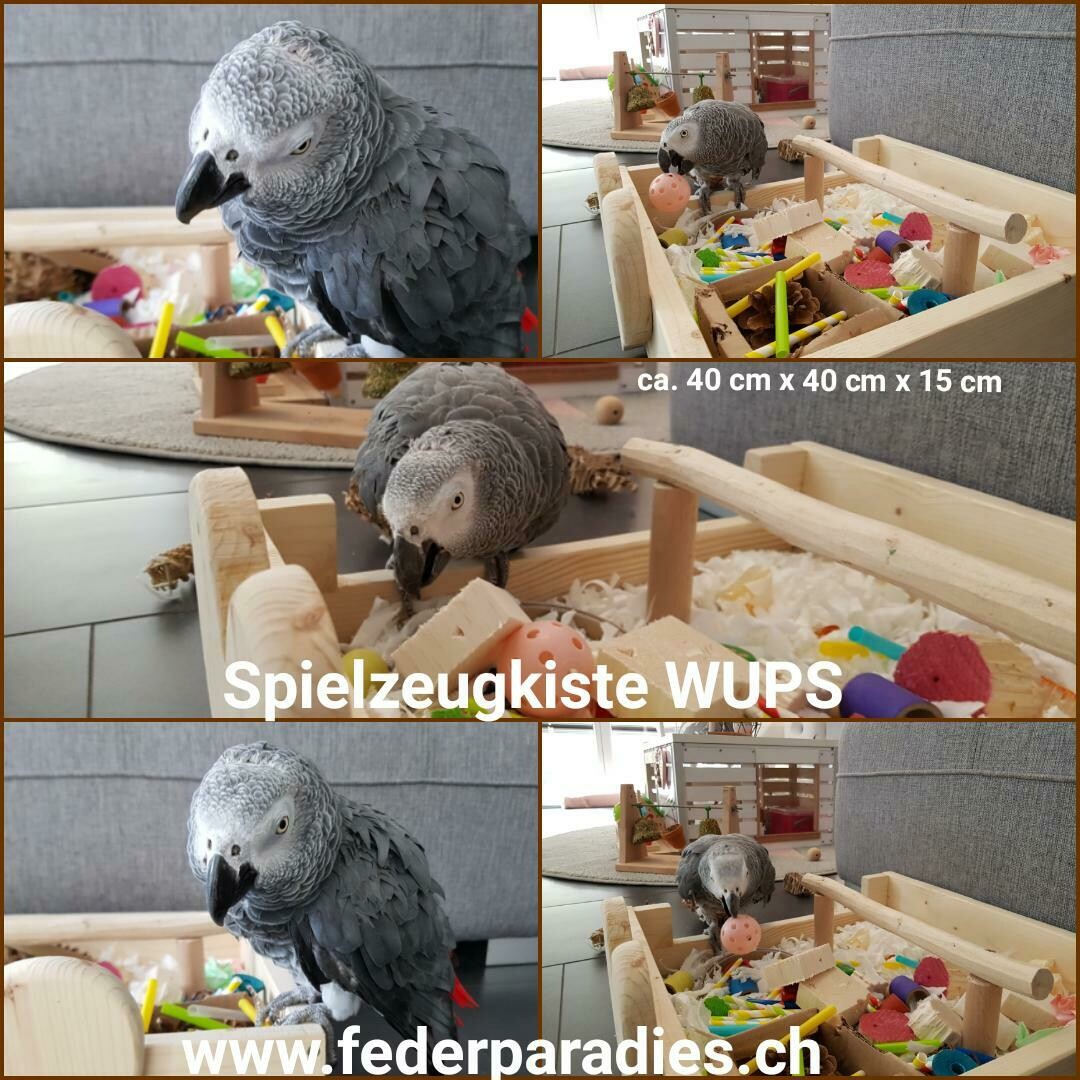 Spielzeugkiste WUPS