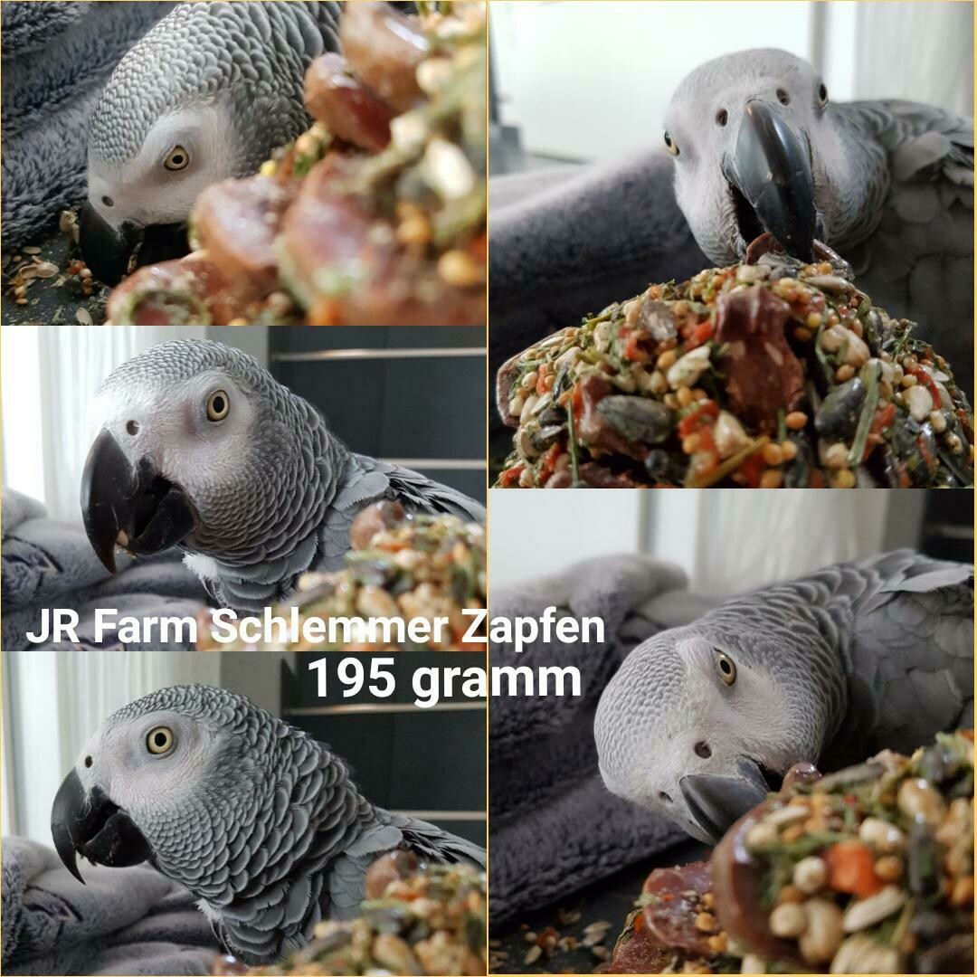 JR Farm Schlemmer Zapfen 195 gramm
