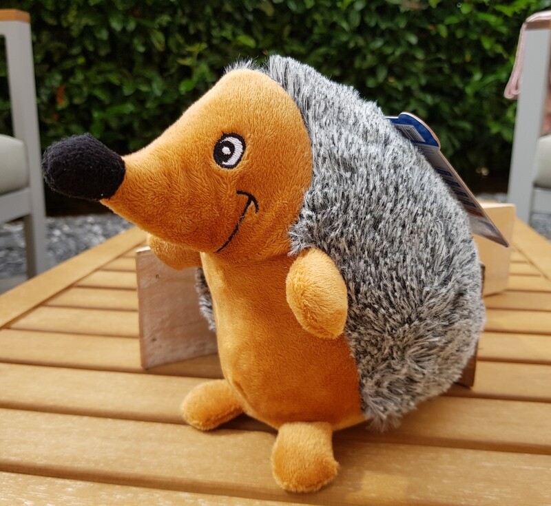 Igel