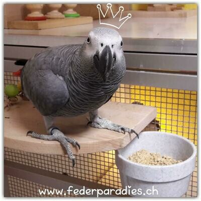 Futternäpfe mit Schraubbefestigung