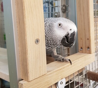 Zubehör
