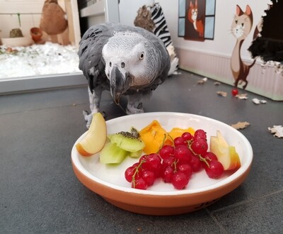 Keramik & Tonnäpfe