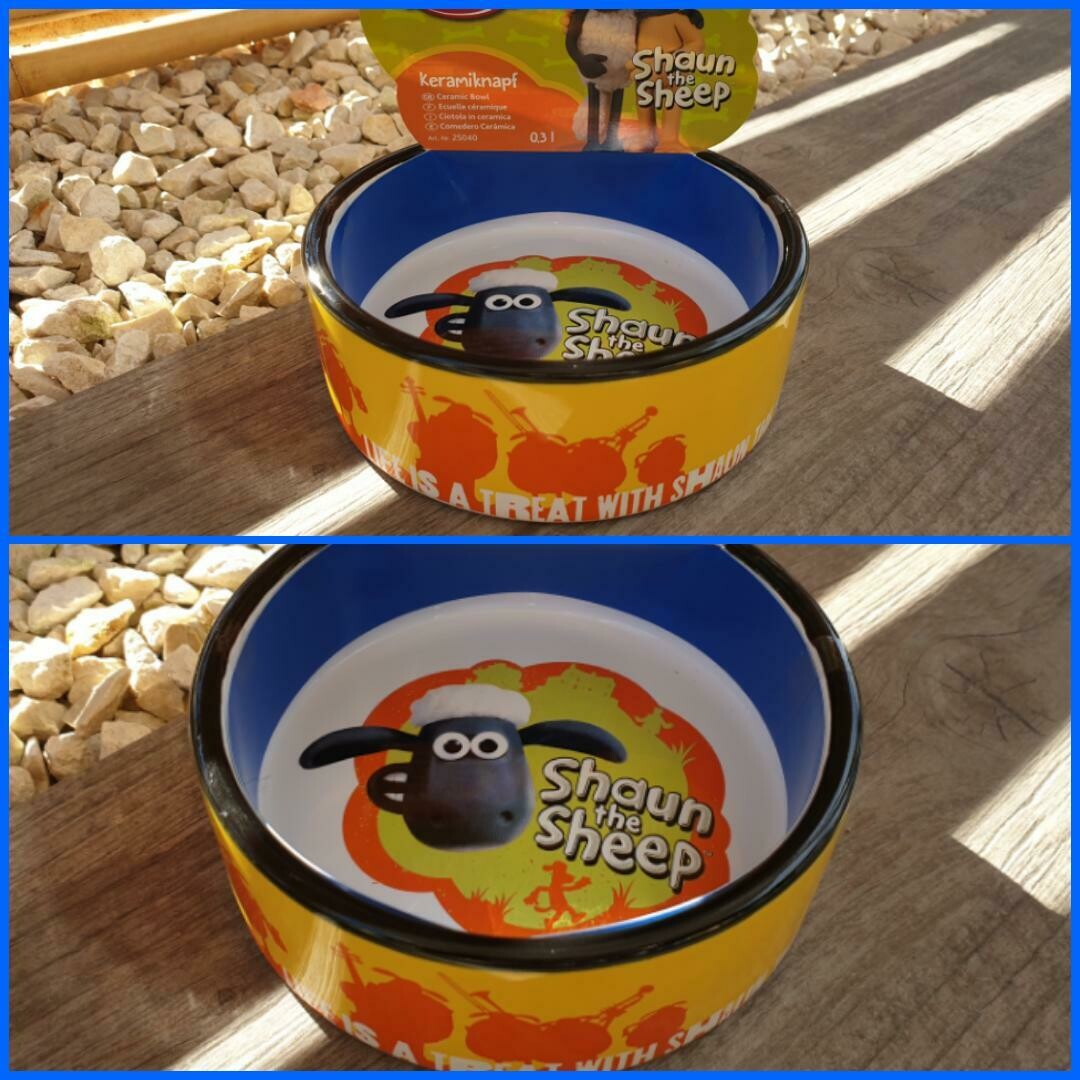 Shaun the Sheep, Keramiknapf Shaun orange 0.3 l / 12 cm