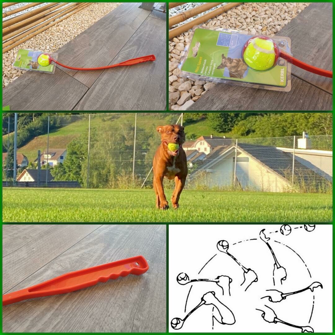 MAXI SPEED Weitwurfstab 65 cm mit Tennisball
