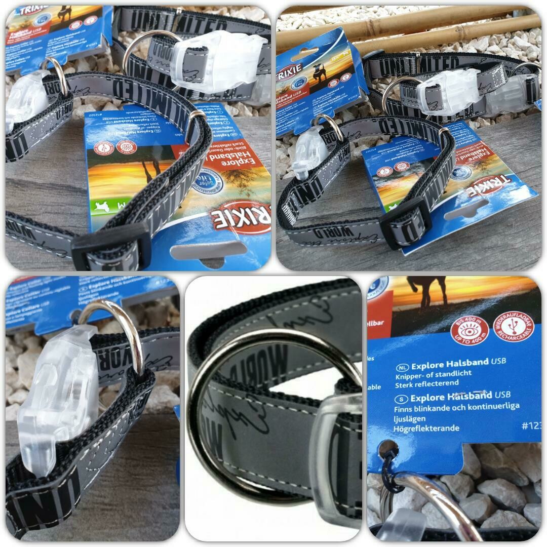 Explore Halsband mit Flasher Schnalle, schwarz reflektierend / 1 Stück / ab Fr. 18.90