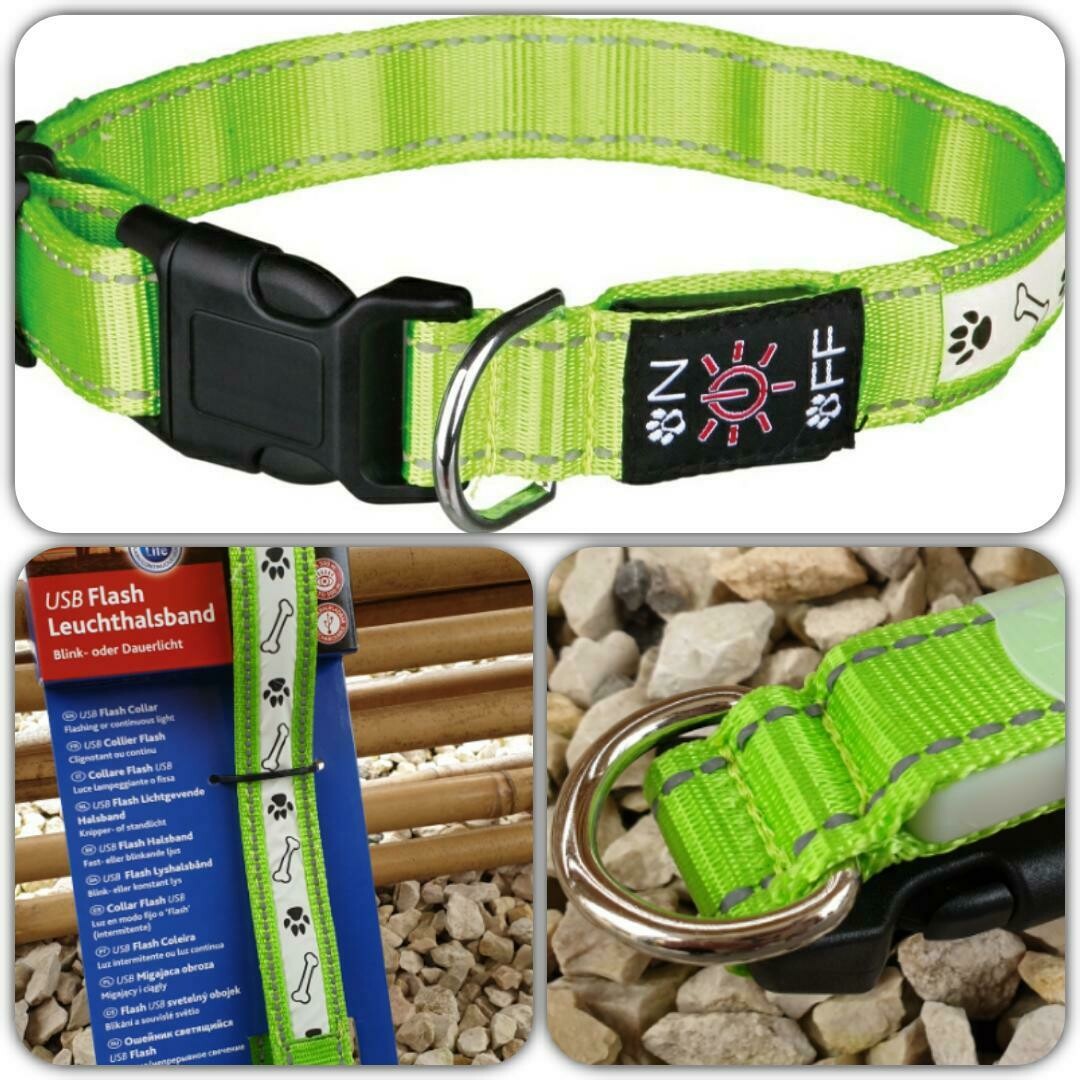 Flash Leuchthalsband USB grün M-L