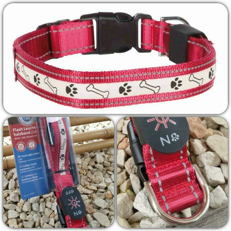 Flash Leuchthalsband USB rot ab Fr. 22.50 Flash Leuchthalsband USB rot ab Fr. 22.50
