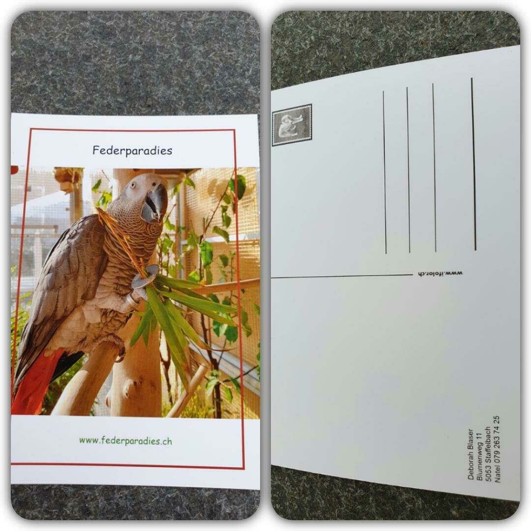 Federparadies Postkarte "Pepper liebt Bambus"