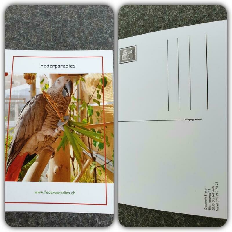 Federparadies Postkarte Federparadies Postkarte "Pepper liebt Bambus"