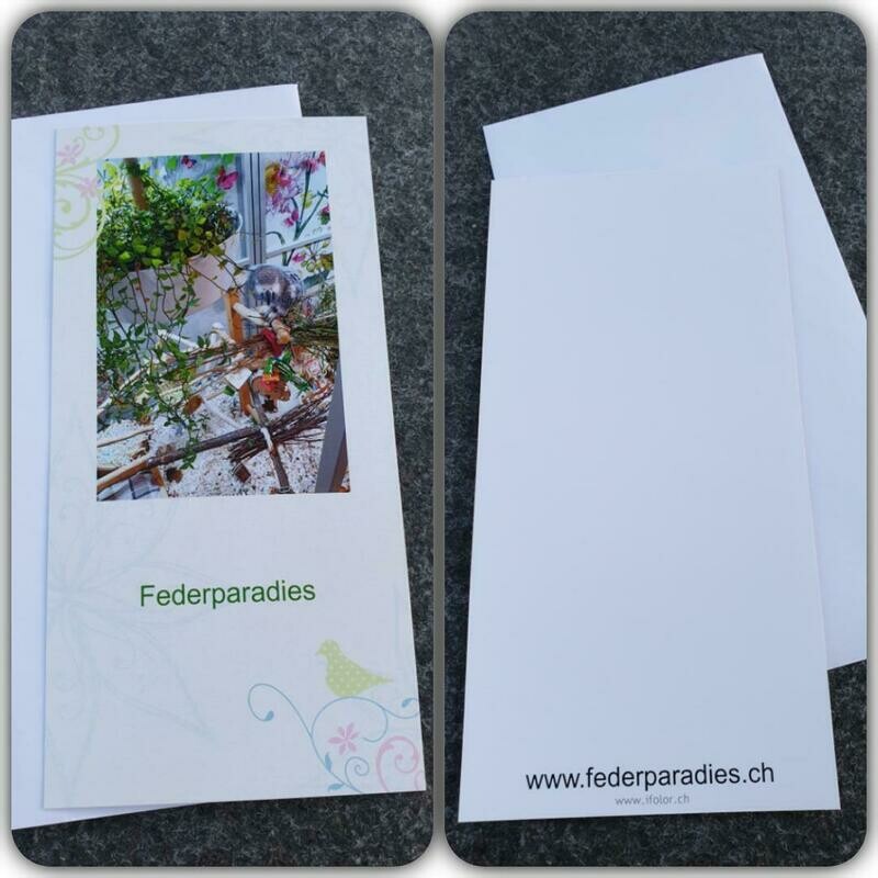 Federparadies Grusskarte Federparadies Grusskarte "Jacot Suchspiel"