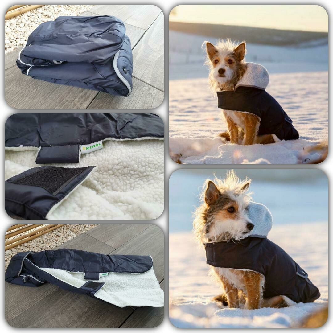 Hundemantel Teddy blau / ab Fr. 13.80