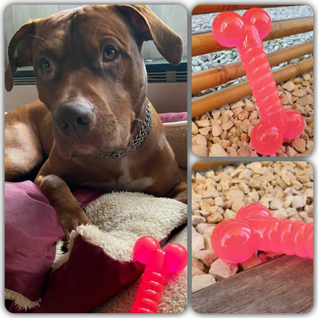 Knochen pink 14 cm