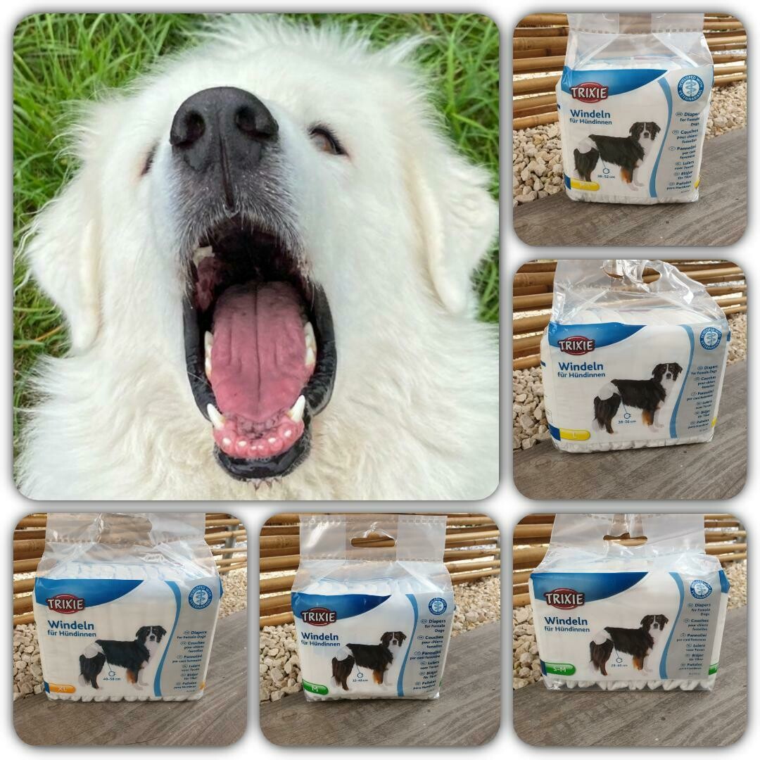 Trixie Hundewindeln / ab Fr. 8.90