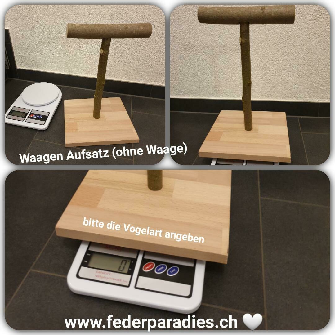 Waagen Aufsatz