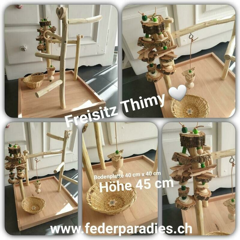 Freisitz / Spielplatz Thimy