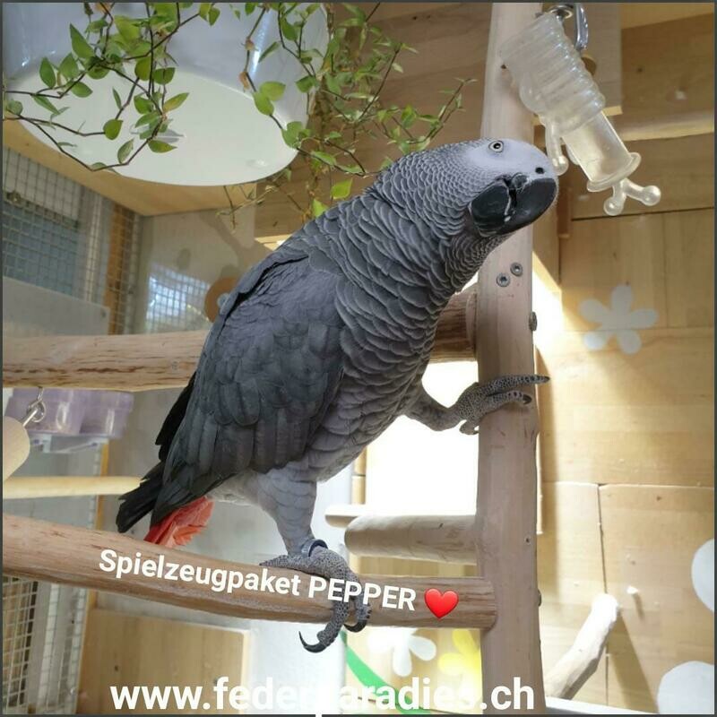 Spielzeugpaket Pepper